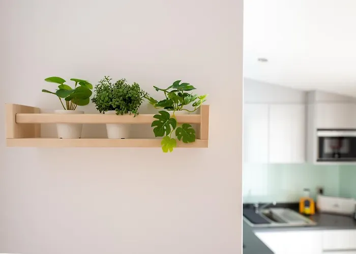 9 Quartos ホテル Avelar